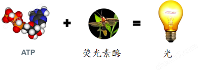 ATP来水毒性预警快速检测仪