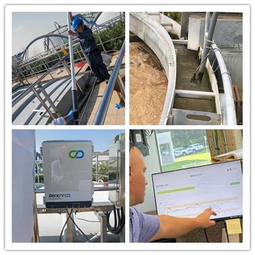 在线污水毒性预警系统